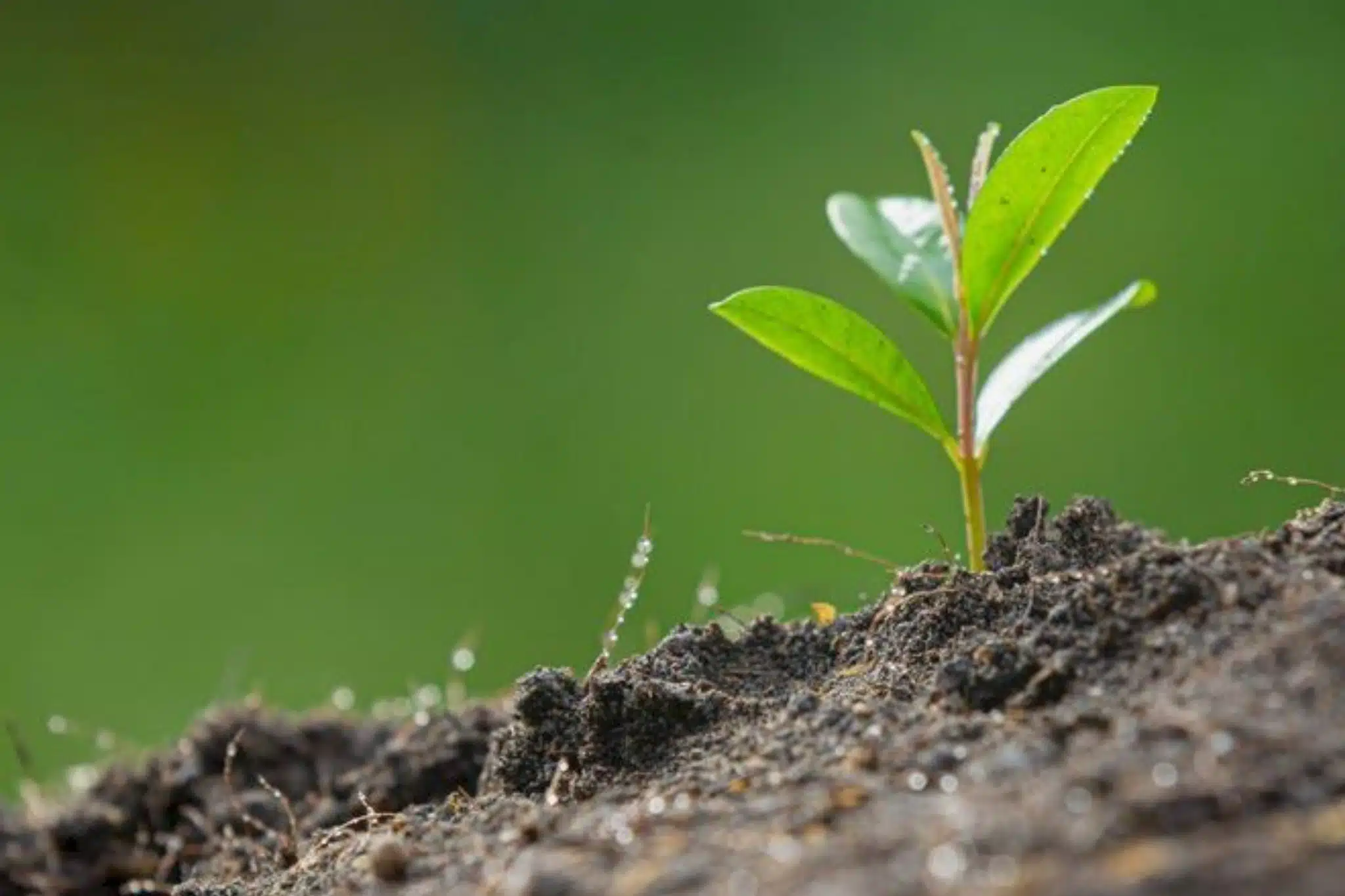 La Minoterie du Bocage rejoint le mouvement « Pour une Agriculture du Vivant »